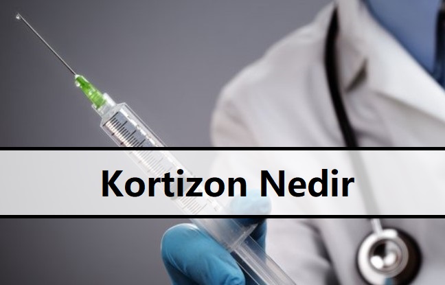 Kortizon Nedir