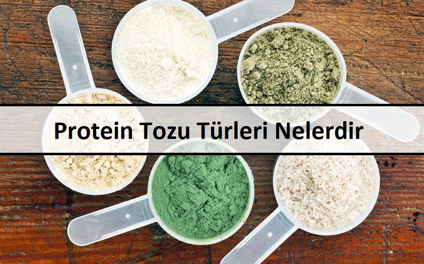 Protein Tozu Türleri Nelerdir