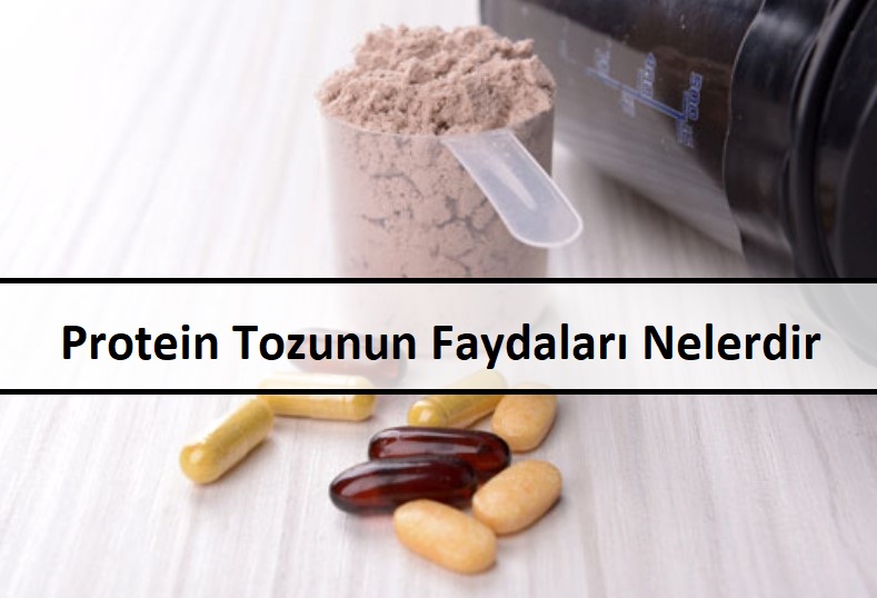 Protein Tozunun Faydaları Nelerdir