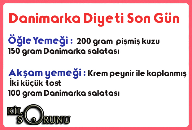 Danimarka Diyeti Son Gün