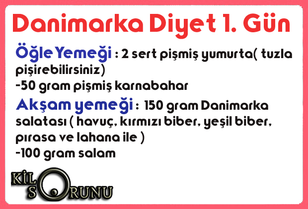 danimarka diyeti ilk gün