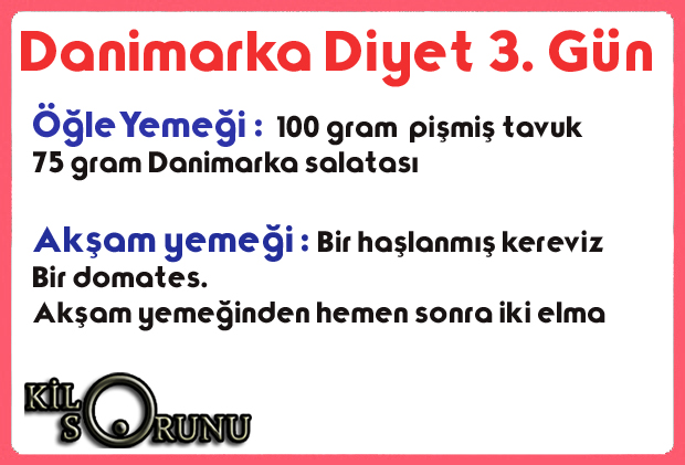 danimarka diyeti üçüncü gün