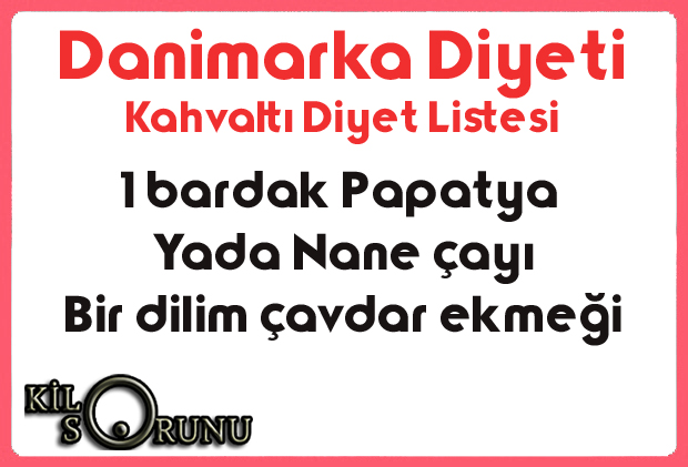 danimarka diyeti