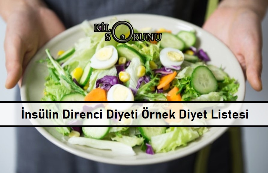 İnsülin Direnci Diyeti Örnek Diyet Listesi