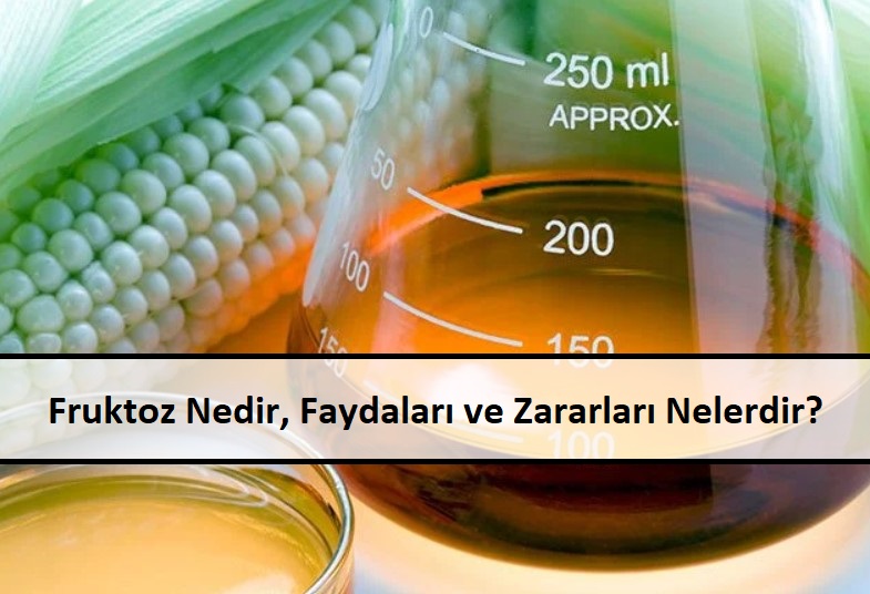 Fruktoz Nedir, Faydaları ve Zararları Nelerdir