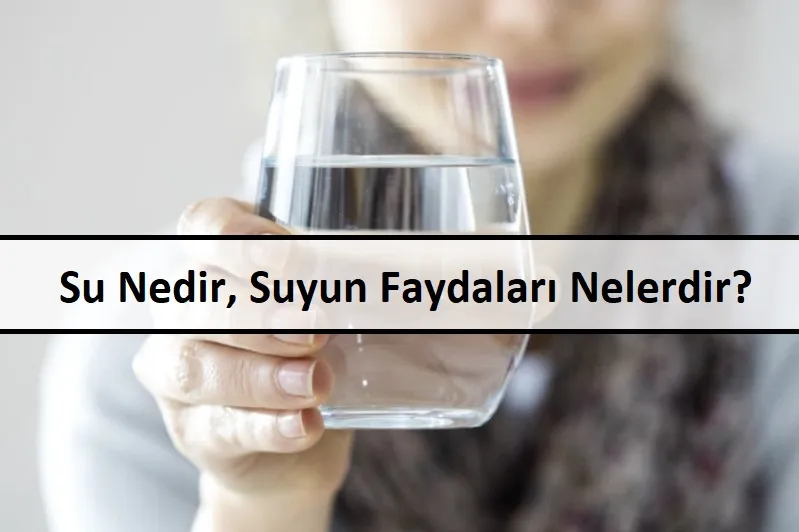 Su Nedir, Suyun Faydaları Nelerdir?