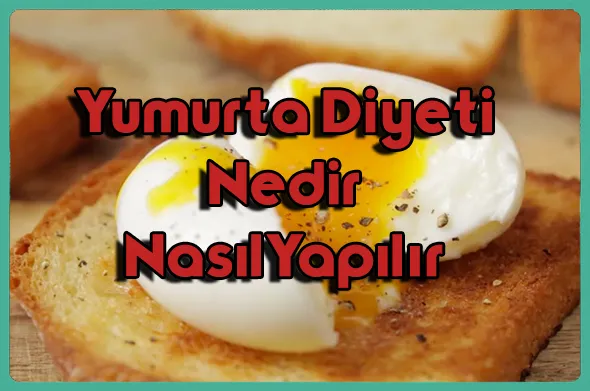 Yumurta Diyeti Nedir ve Nasıl Yapılır