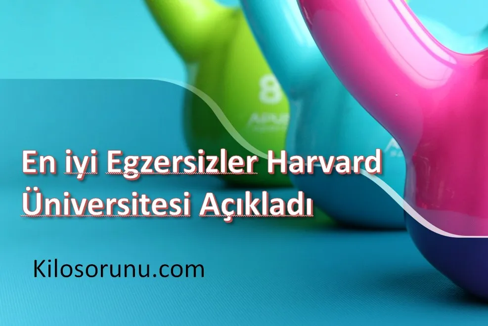 En iyi Egzersizler Harvard Üniversitesi Açıkladı