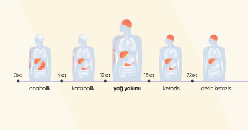 Diyette Kilo Verme Kaçıncı Günde Başlar?