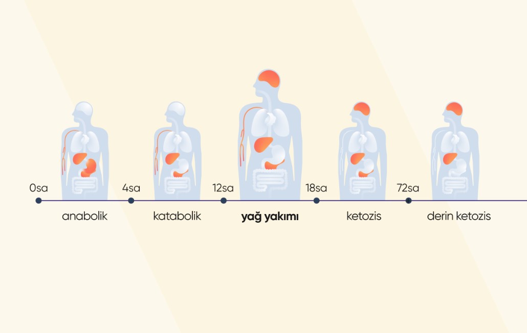 Diyete Başladıktan Sonra Vücutta Neler Olur